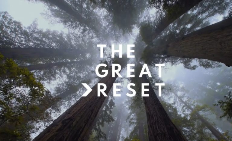 The Great Reset Or How GAFAM Rules The World