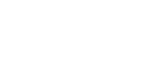 The Cyber Voice