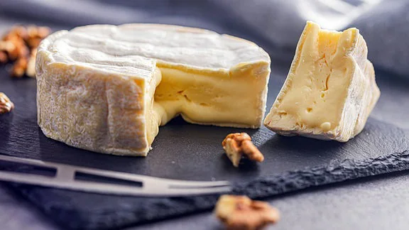 The Looming Threat to Camembert: A Crisis in Cheese Diversity